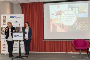 JORNADAS TCNICAS CEAV 2016