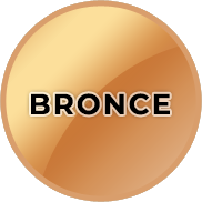 Partners Bronce